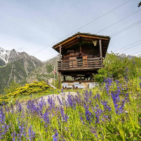 Korn-Stadel Arida Prata "Natur Pur" Грехен Екстер'єр фото
