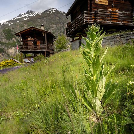 Korn-Stadel Arida Prata "Natur Pur" Грехен Екстер'єр фото